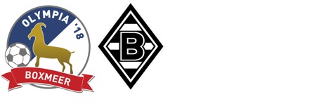 Internationale wedstrijd